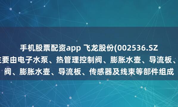 手机股票配资app 飞龙股份(002536.SZ)：热管理集成模块产品主要由电子水泵、热管理控制阀、膨胀水壶、导流板、传感器及线束等部件组成